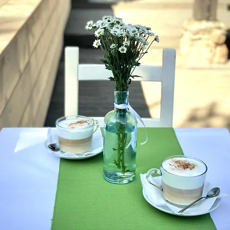 Zielone Wzgorze Oda ve Kahvaltı