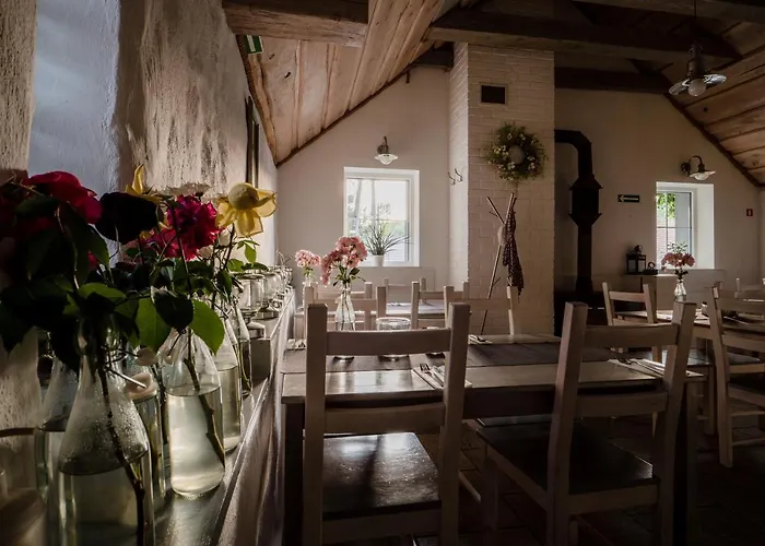 Zielone Wzgorze B&B Sulistrowiczki